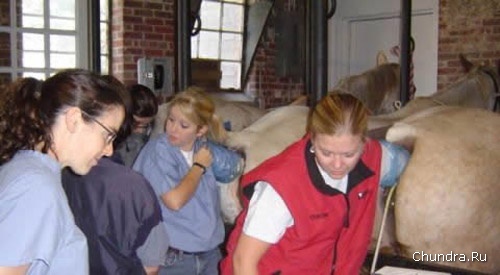 ��������������