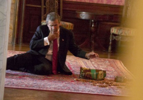 �������� � ����������