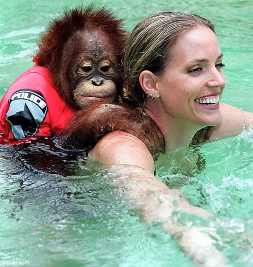 �������� � ����