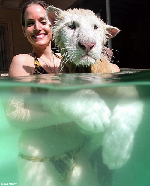 �������� � ����