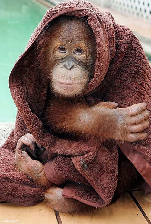 �������� � ����