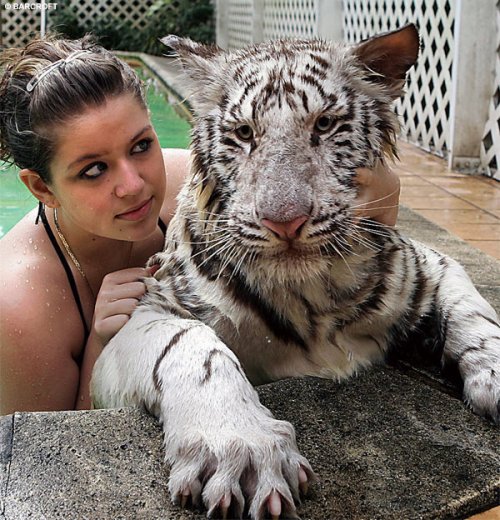 �������� � ����