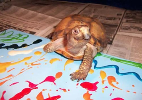 ���������-���������