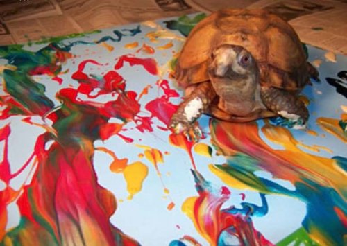 ���������-���������