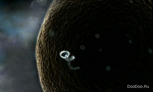 ������� � ������