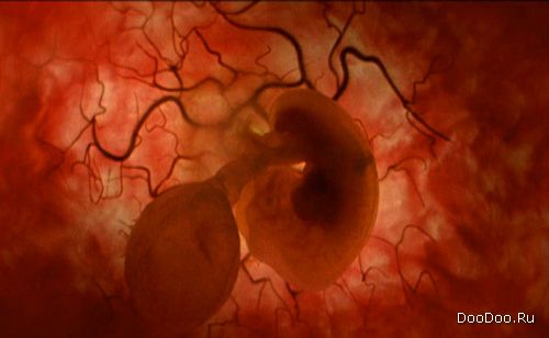 ������� � ������