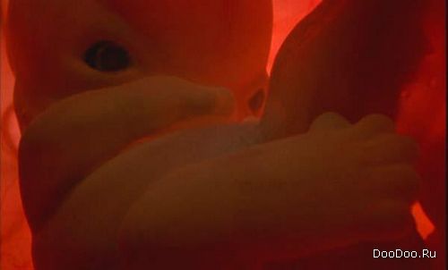 ������� � ������