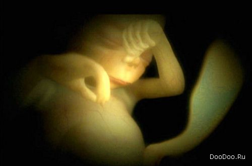 ������� � ������