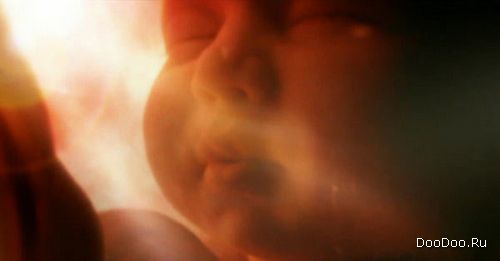 ������� � ������