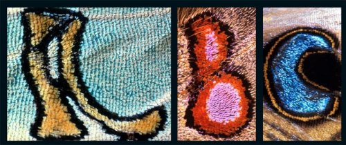 ������� �� ���������