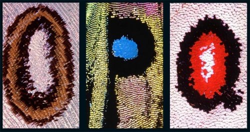 ������� �� ���������