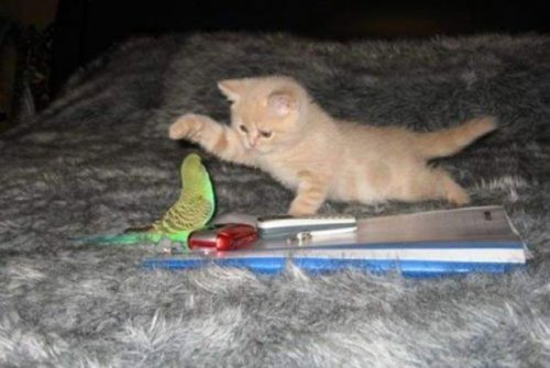 ������ �� �����