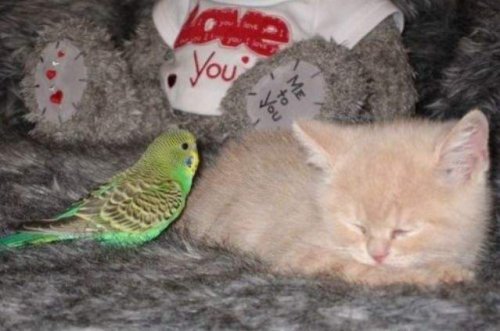 ������ �� �����