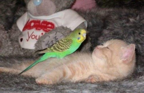 ������ �� �����