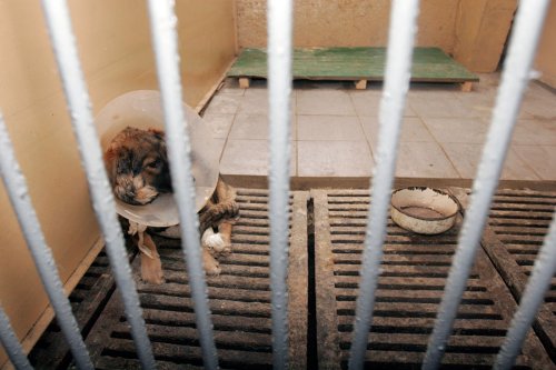 ����� ��� �����