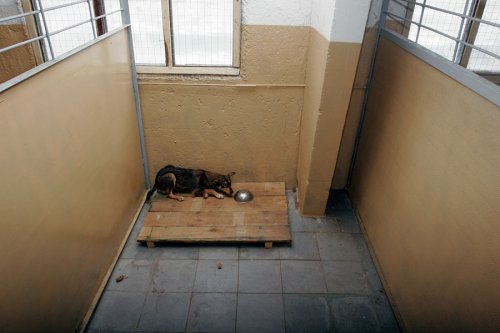 ����� ��� �����