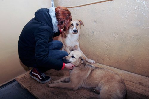 ����� ��� �����