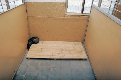 ����� ��� �����