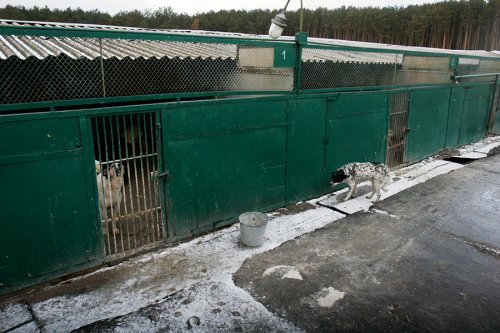 ����� ��� �����