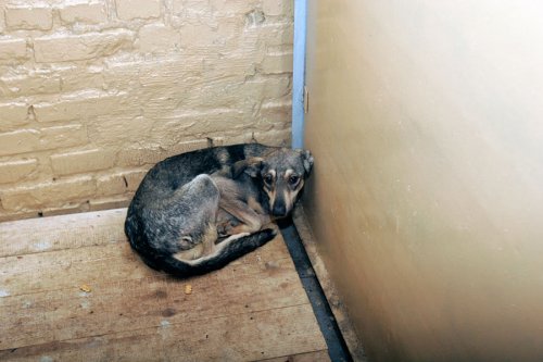 ����� ��� �����