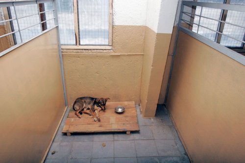 ����� ��� �����