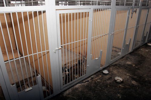 ����� ��� �����