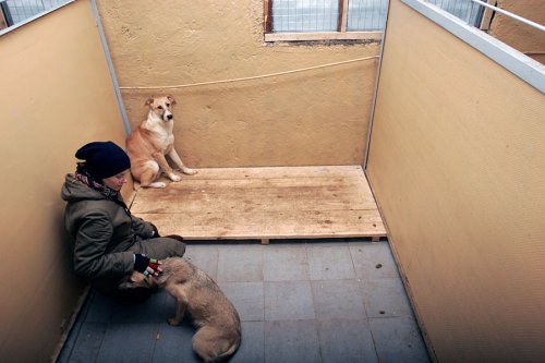 ����� ��� �����