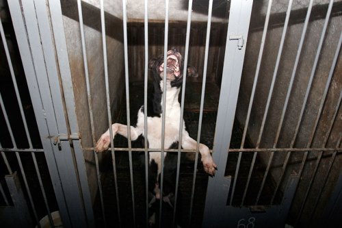 ����� ��� �����