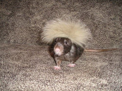 �������� ������