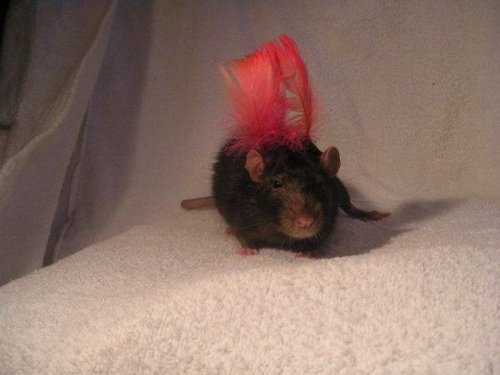 �������� ������