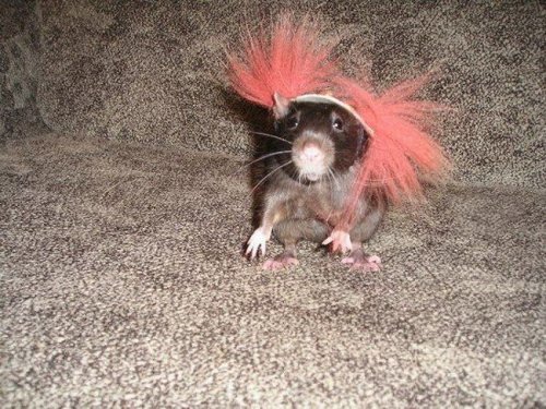 �������� ������