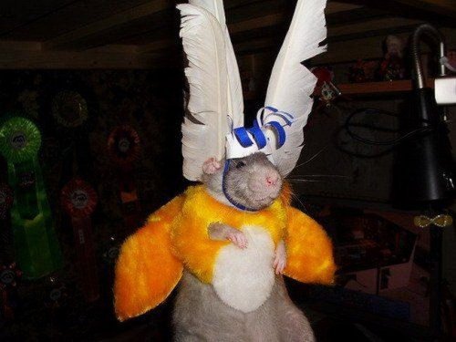 �������� ������