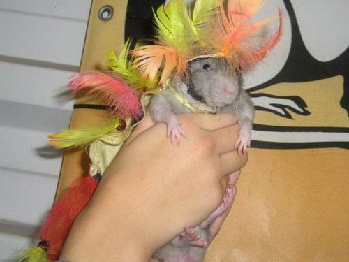 �������� ������