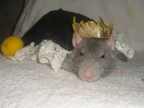 �������� ������