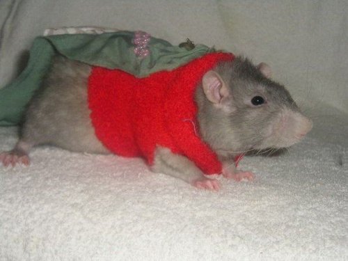 �������� ������