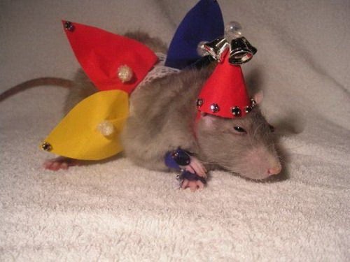 �������� ������