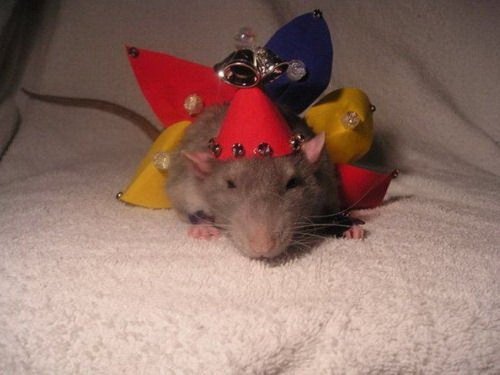 �������� ������