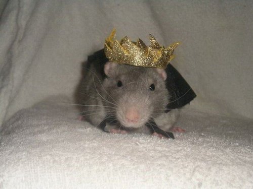 �������� ������