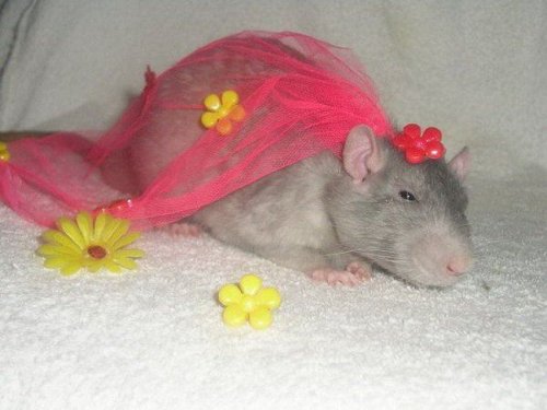 �������� ������