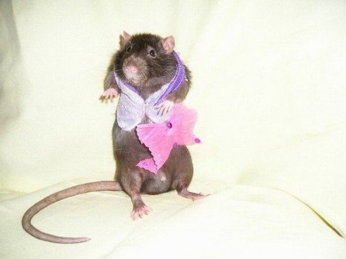 �������� ������