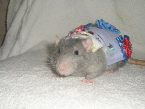 �������� ������