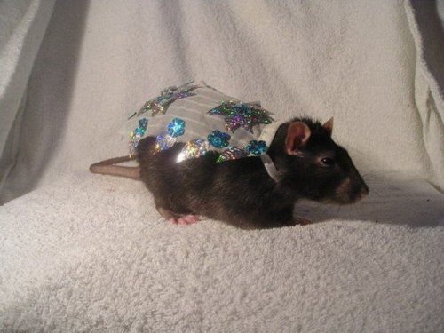 �������� ������