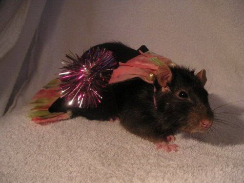 �������� ������