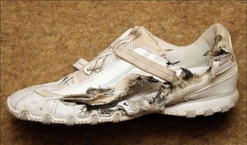 ���� ������