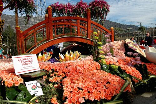 ����� ������