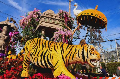 ����� ������