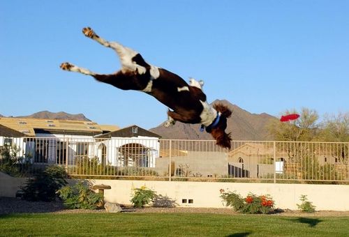 �������� �����