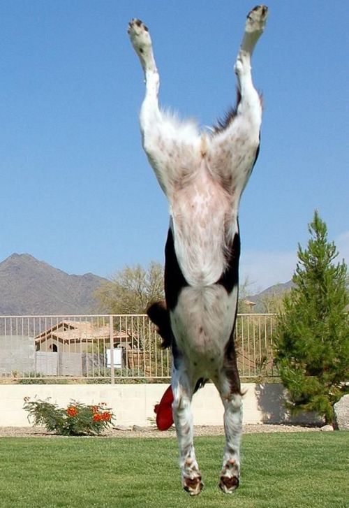 �������� �����