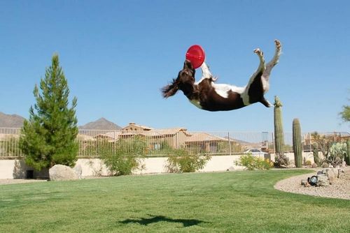 �������� �����