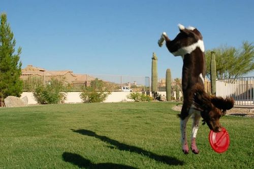 �������� �����